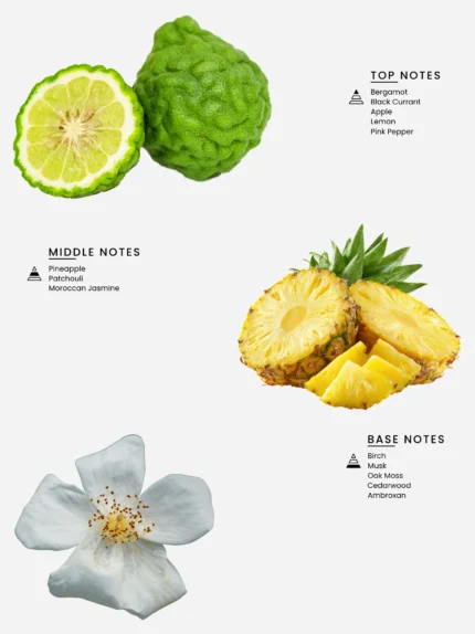 Laabi Perfume - Elite Code notes