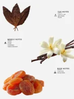 Laabi Perfume - Ember Node