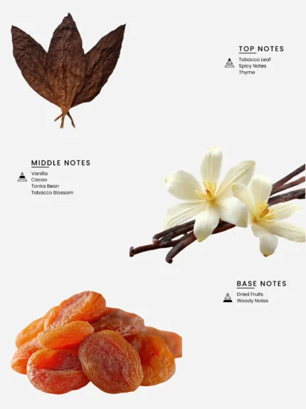 Laabi Perfume - Ember Node