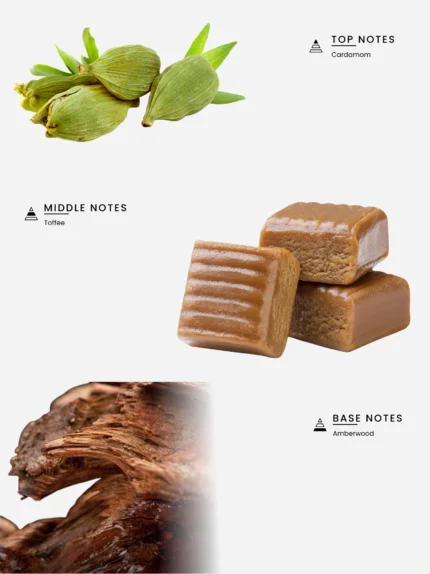 Laabi Perfume - Gravity Node