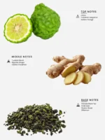 Laabi Perfume - Miraki Node