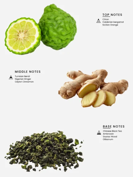 Laabi Perfume - Miraki Node