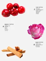 Laabi Perfume - Norden Node