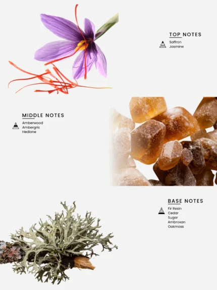 Laabi Perfume - Signature Node