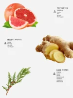 Laabi Perfume - Timeless Node