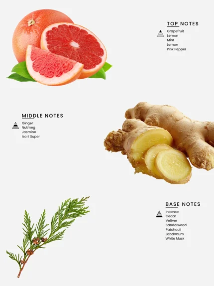 Laabi Perfume - Timeless Node