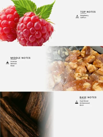 Laabi Perfume - Woud Node